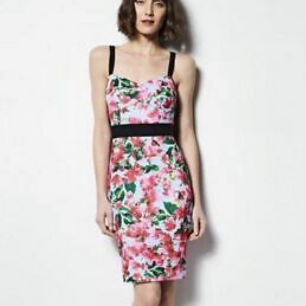 Milly War of Roses Dress Size 8
